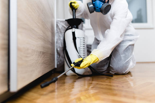 Best Best Pest Control Companies  in Coldspring, TX