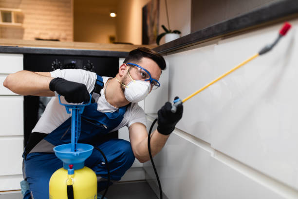 Best Affordable Pest Control Services  in Coldspring, TX