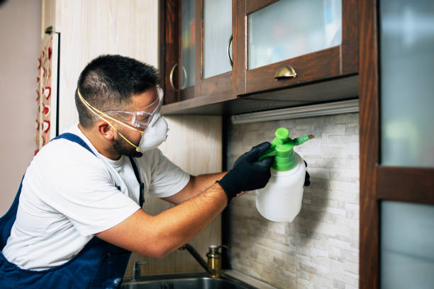 Best Wildlife Control Services  in Coldspring, TX