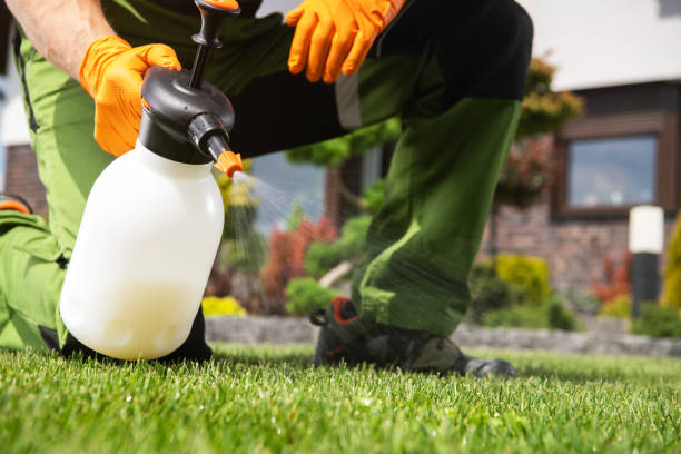 Best Bed Bug Extermination  in Coldspring, TX