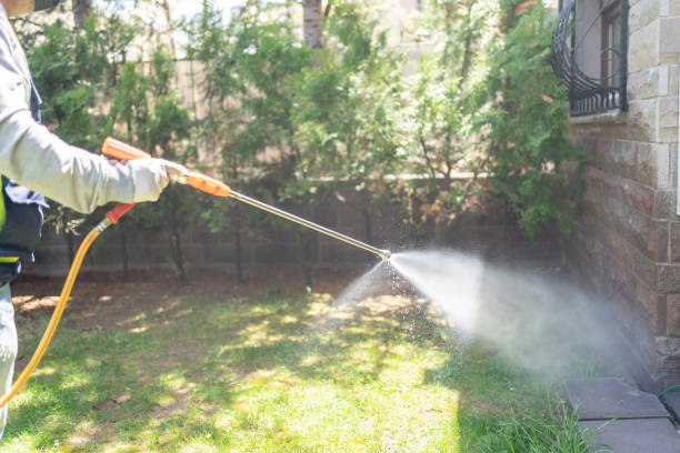 Best Insect Control  in Coldspring, TX