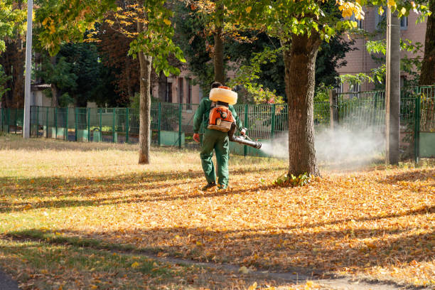 Best Flea Control Services  in Coldspring, TX