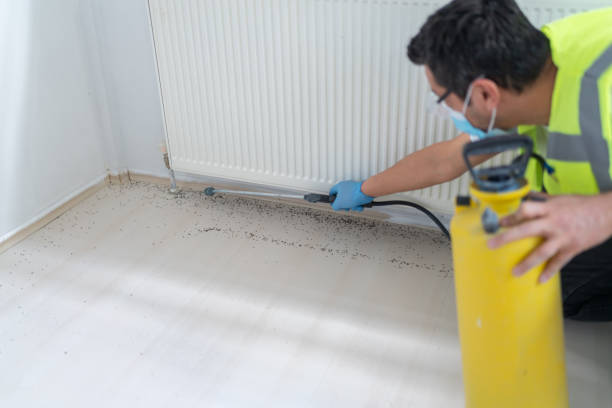 Best Rat Extermination Near Me  in Coldspring, TX