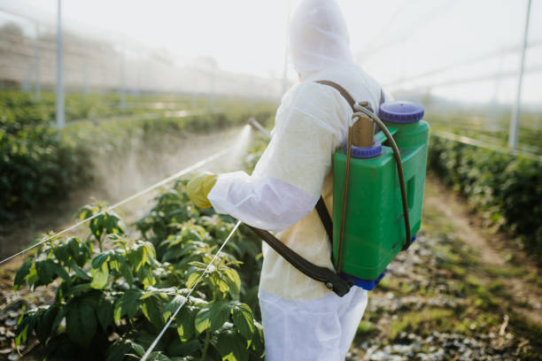 Best Ant Control Services  in Coldspring, TX
